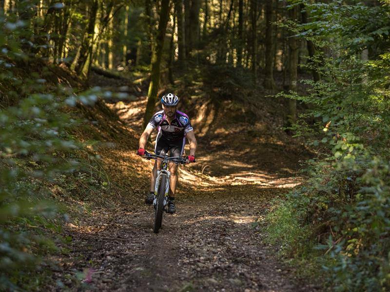 Randonnée : VTT n°8 - La Vall'Dingue