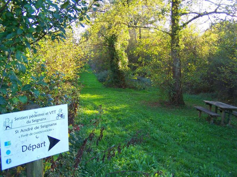 Randonnée : Forêt de Cassou Hourn