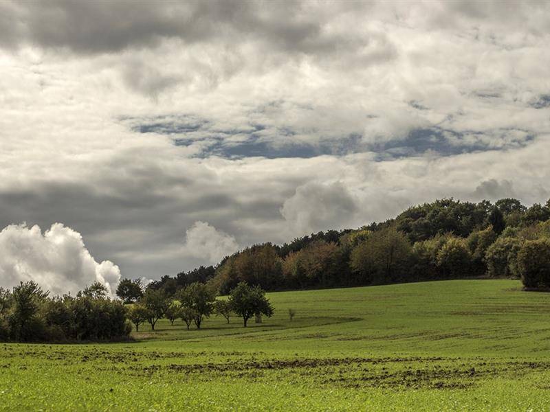 Randonnée : Balade entre bois et jardins