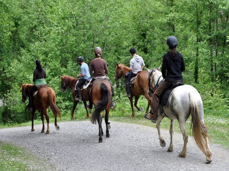 Randonnée : Le sentier des contrebandiers - De Saint-Palais à Ostabat - équestre