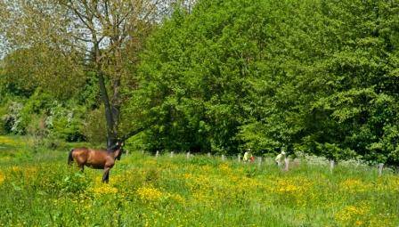 Randonnée : Boucle de la Vallée de la Vire