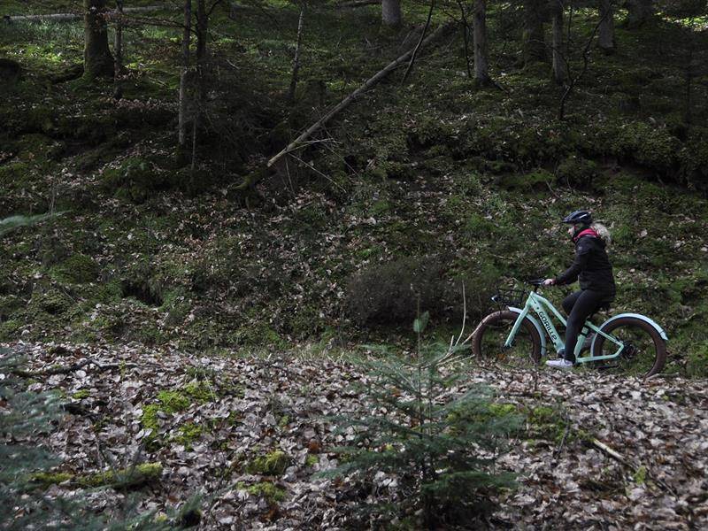Randonnée : Circuit VTT de l'Ungersberg
