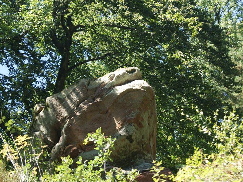 Randonnée : Circuit du Froschkopf