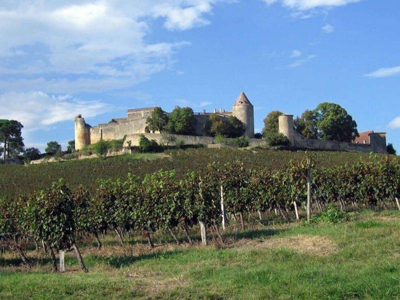 Randonnée : Boucle du Château de Benauges