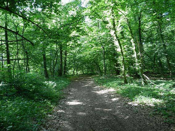 Randonnée : Circuit pédestre de Boust
