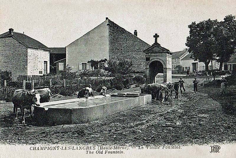 Randonnée : Circuit de découverte de Champigny-les-Langres