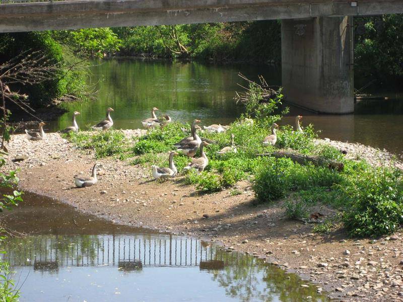 Randonnée : Randonnée Au fil de la Bruche
