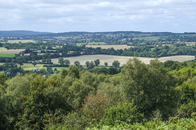 Randonnée : A l'assaut du Mont Pinçon