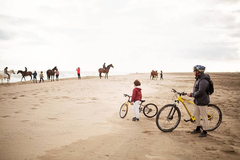 Randonnée : La Camargue à Vélo : 6 Couleurs gardiannes, couleurs gitanes