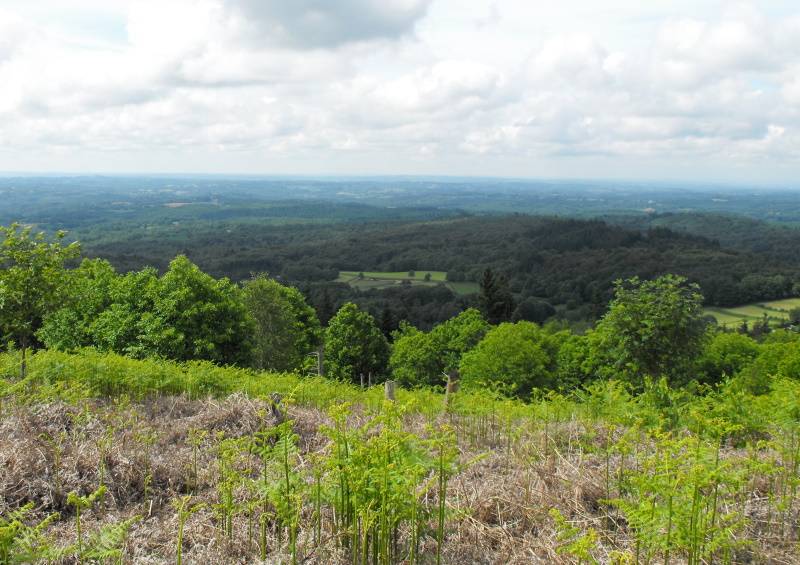 Randonnée : Base VTT FFC des Monts du Limousin - Circuit 14 Pierres sèches