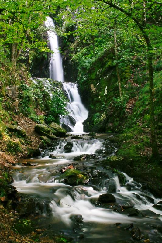 Randonnée : La cascade de Neyrat