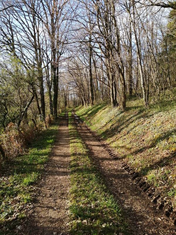 Randonnée : Au coeur du bocage
