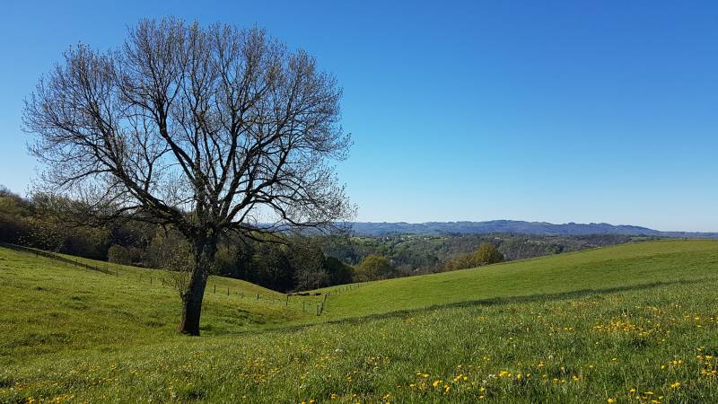 Randonnée : De Teyssieu à Estal