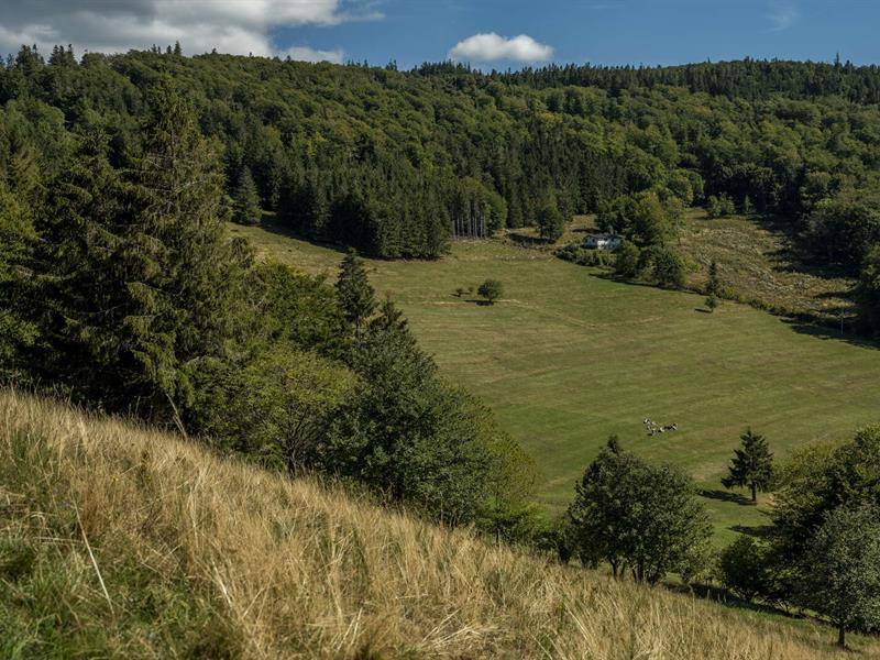 Randonnée : Circuit VTT H02 : De la clairière du Hang à la Climontaine