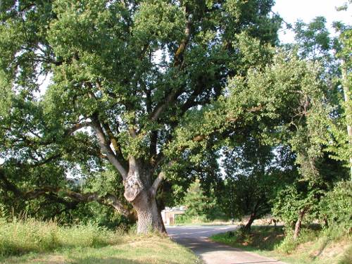 Randonnée : Pont-du-Casse / Darel, une boucle nature