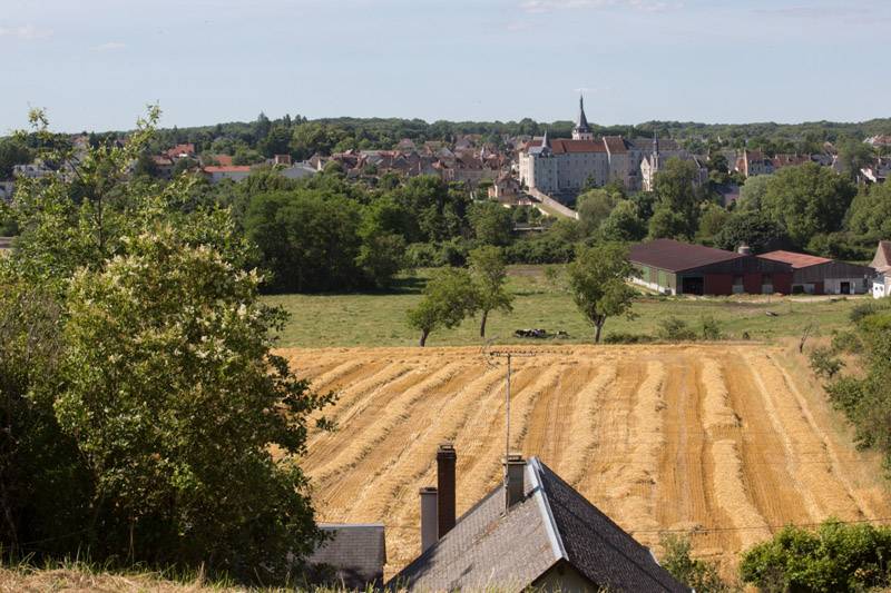 Randonnée : Balade à pied n°11 - Terres de vignerons