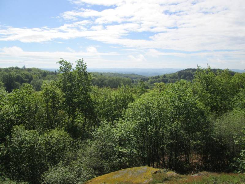 Randonnée : Circuit pédestre n°SG4 Le bois de Roche