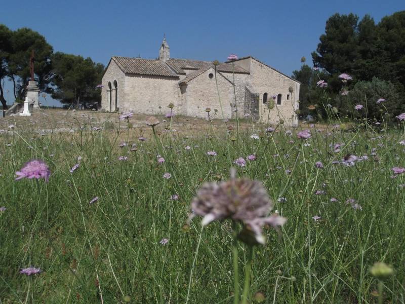 Randonnée : Bouches-du-Rhône en Paysages - Noves Les collines et la plaine du Comtat