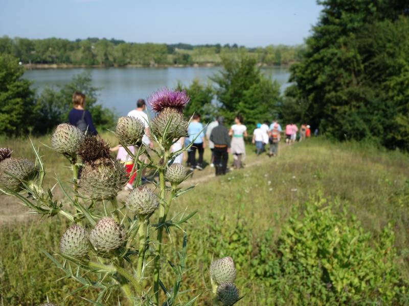 Randonnée : De Bazas au Lac de la Prade