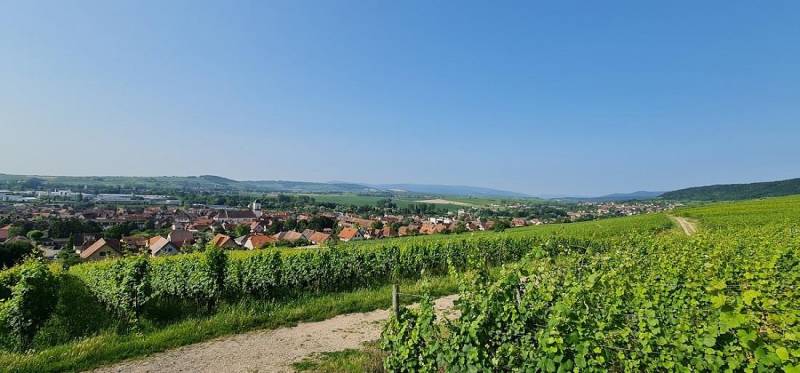 Randonnée : 5. La boucle du Piémont