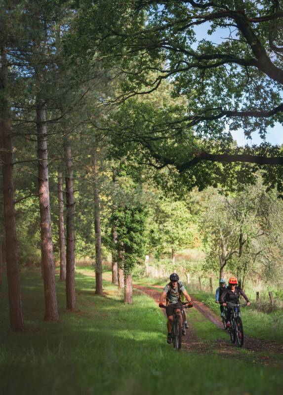 Randonnée : Les Bois de Campandré