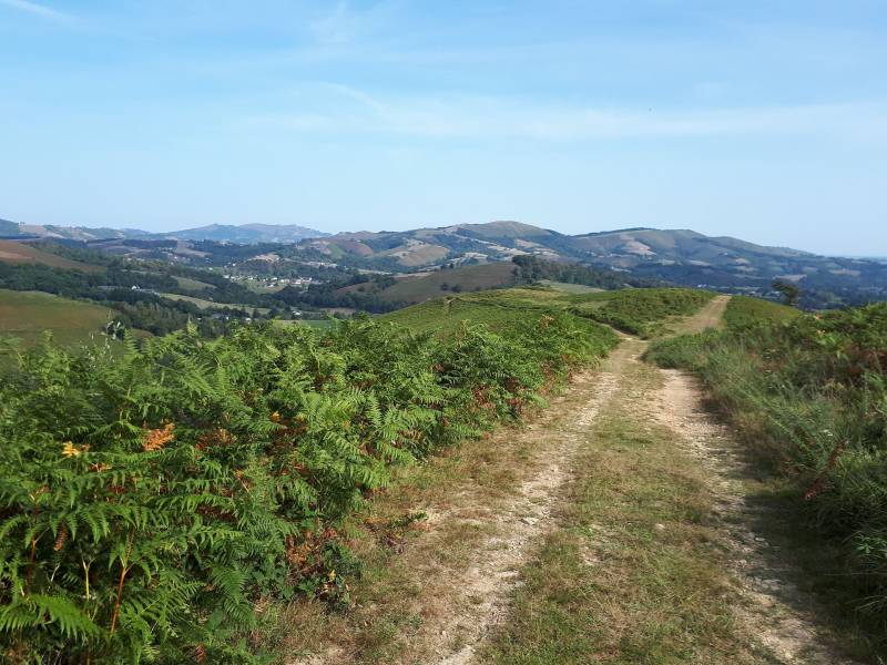 Randonnée : VTT N°16 - Le Tremey