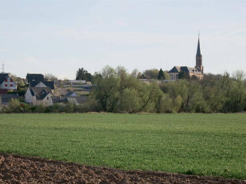 Randonnée : De tram à tram entre Dornach et Lutterbach