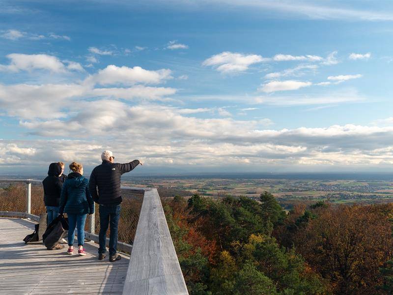Randonnée : Circuit de randonnée de Climbronn au Chemin des Cimes Alsace