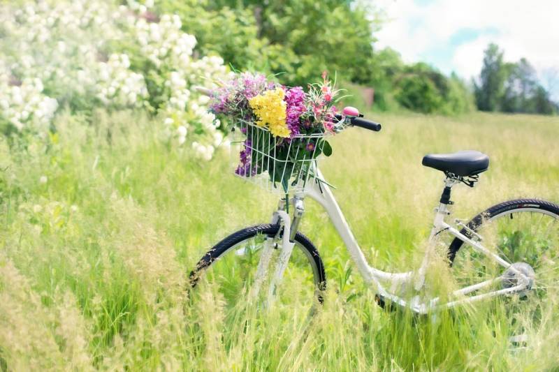 Randonnée : Vélo Découverte "Pays de Saint-Aulaye", en direction de la Charente