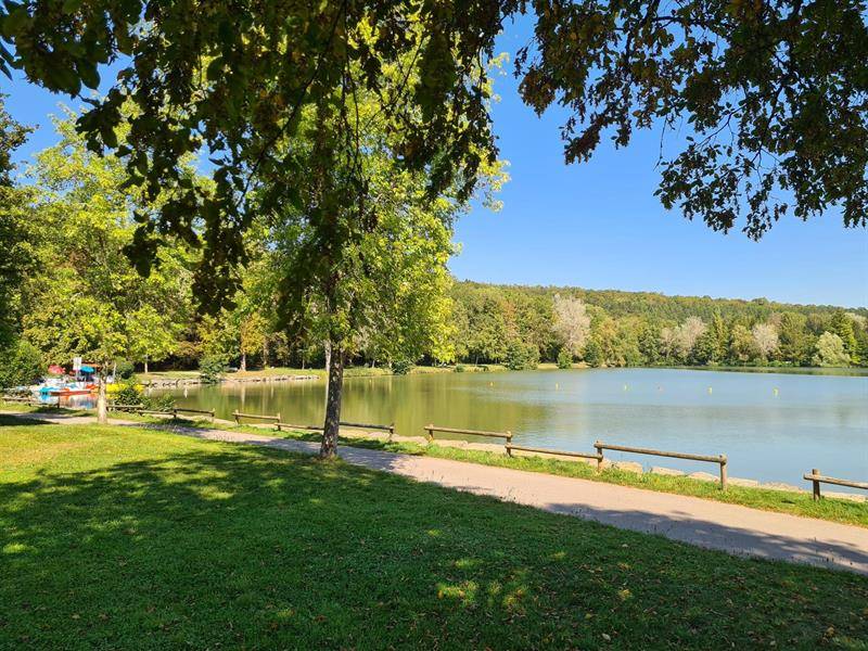 Randonnée : Circuit Pédestre 21 - Le Petit Hachu - 6.2 km