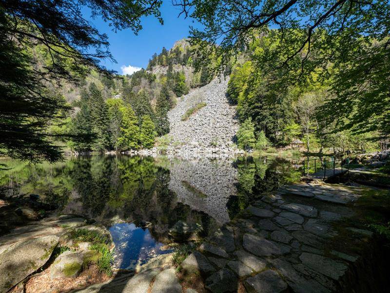 Randonnée : Parcours Trail : Le Gaschney - Vallée de la Wormsa