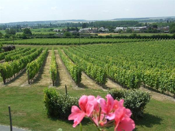 Randonnée : Entre bois de Juche-Pie et vignobles des Folies