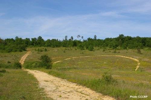 Randonnée : Le Causse de l'Isle