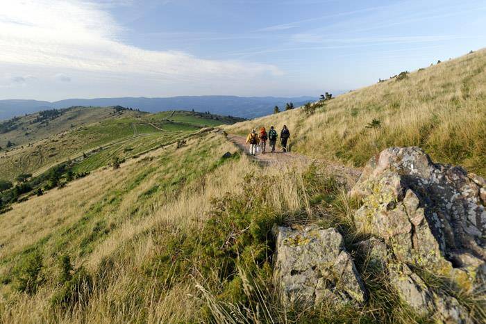 Randonnée : TMV® Traversée du Massif des Vosges à VTT - Châtenois - Thann