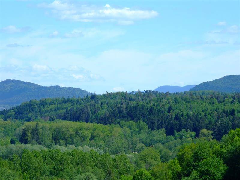 Randonnée : Circuit du terrain de manoeuvre