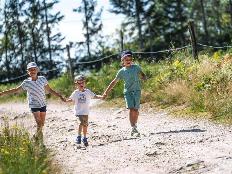 Randonnée : Balade famille - Circuit du Mont de Fourche