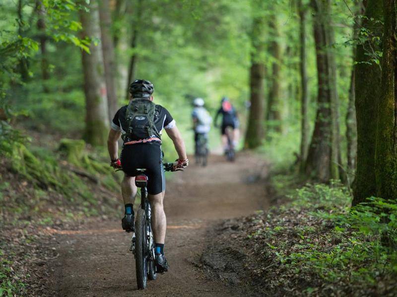 Randonnée : Circuit VTT n° 96 la pierre Torelle