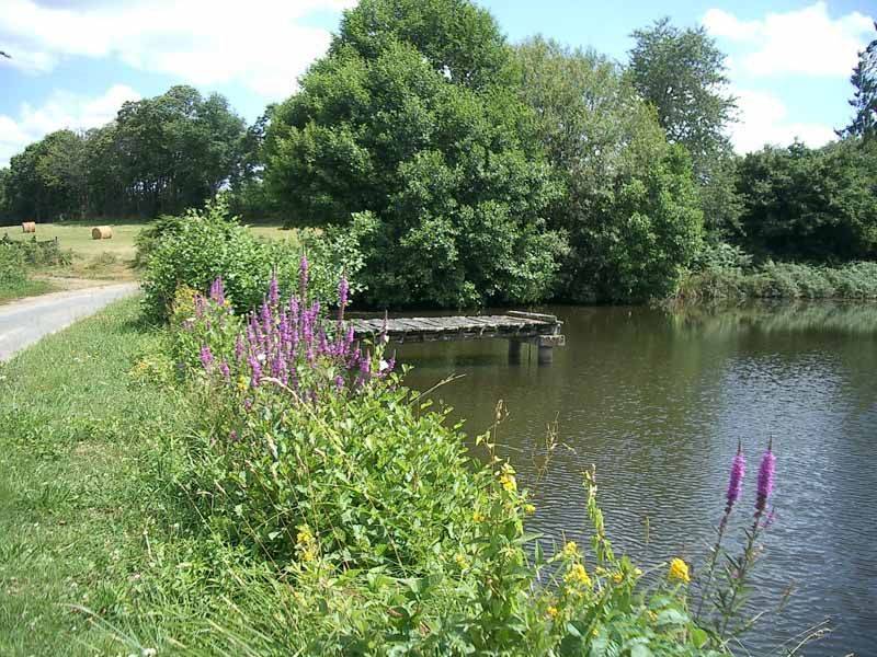 Randonnée : Chemin des sources