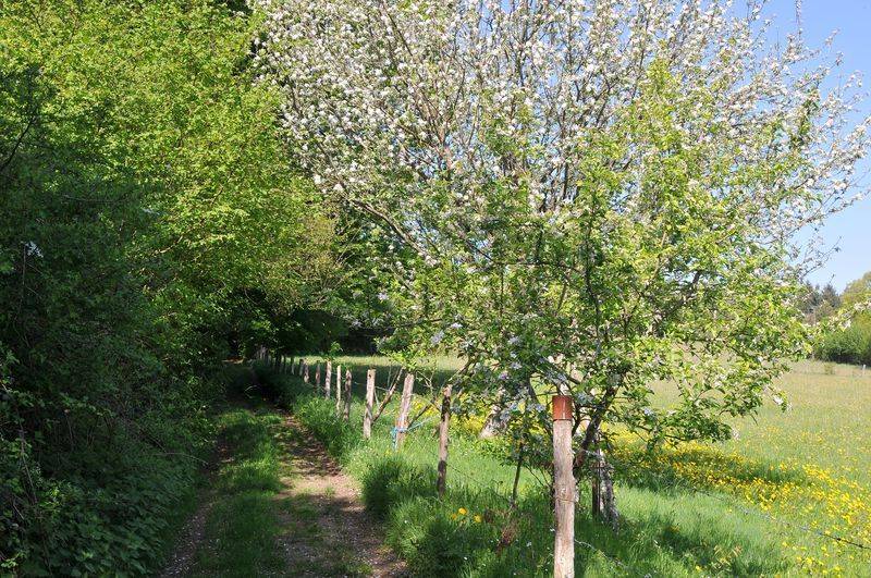 Randonnée : Sentier des forges et des moulins
