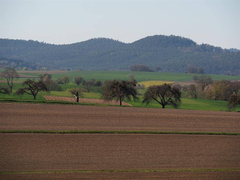Randonnée : Circuit du Hamberg