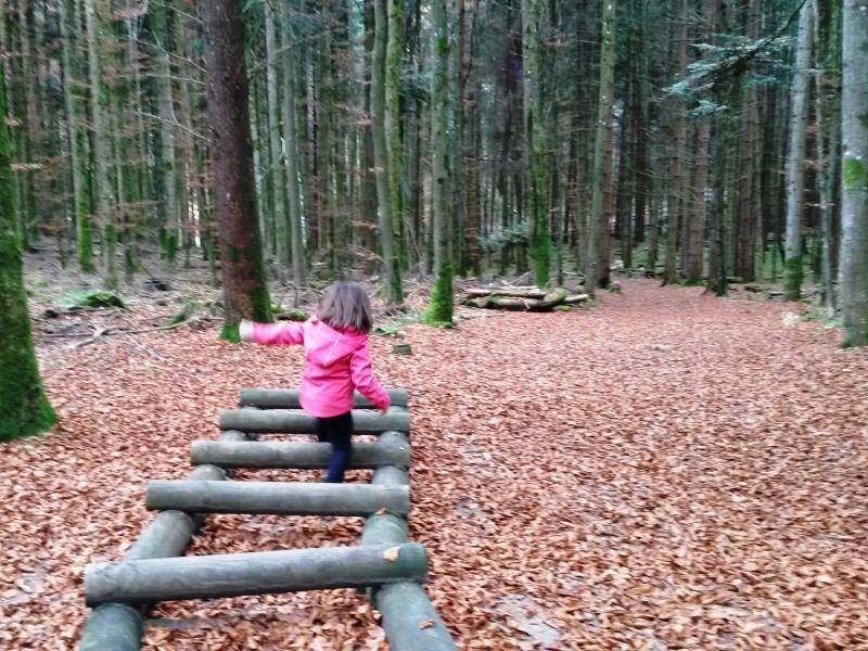 Randonnée : Parcours de santé du Hohwald