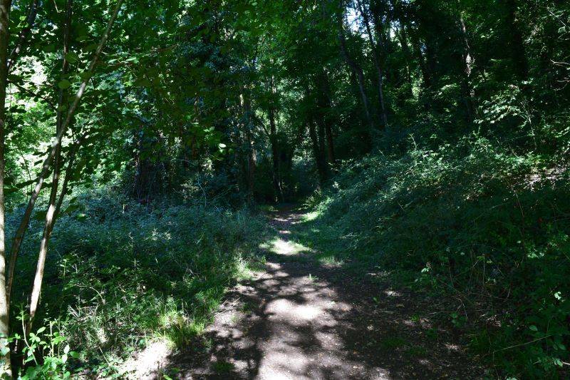 Randonnée : Espace naturel sensible - La carrière de Ricou