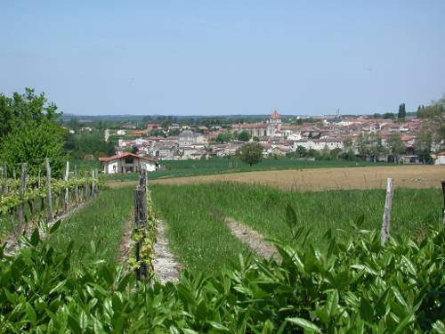 Randonnée : De Mézin à Villeneuve-de-Mézin, sur la route de Compostelle