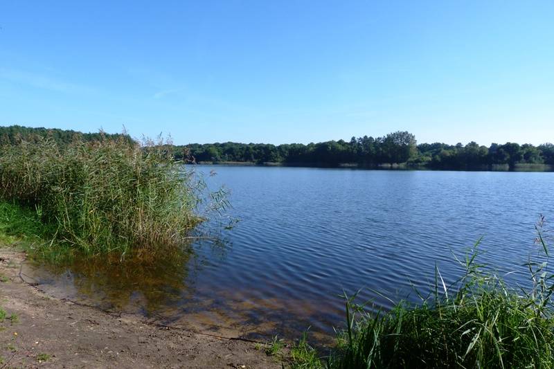 Randonnée : Circuit Attelage de l'étang de la Vallée