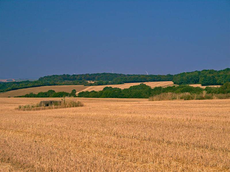 Randonnée : Circuit de la vallée du Bambesch