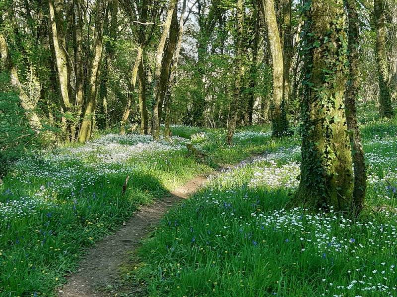 Randonnée : Le sentier des sources et des lavoirs