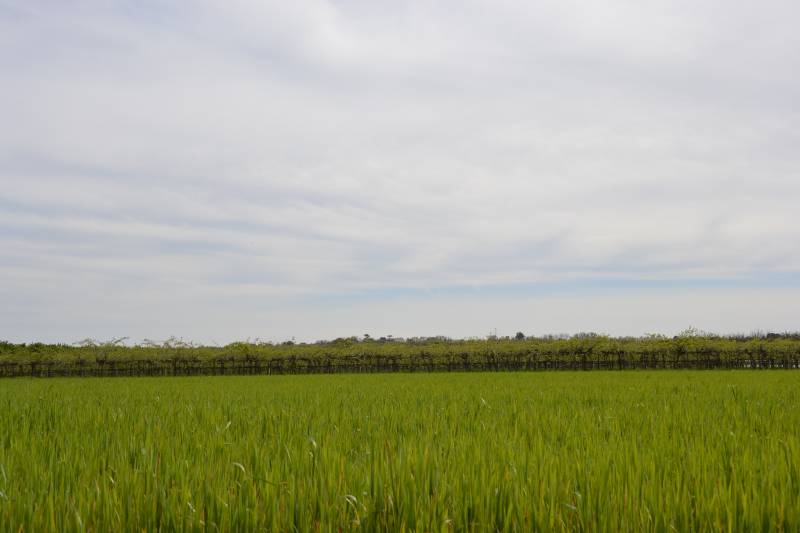 Randonnée : Boucle de l'Imbarradys