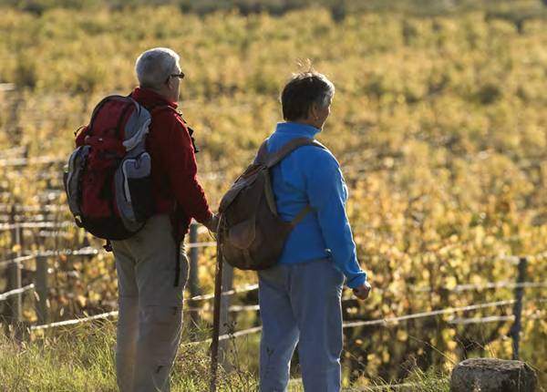 Randonnée : Boucle de Saint-Laurent-des-Combes à pied - Un vignoble en relief