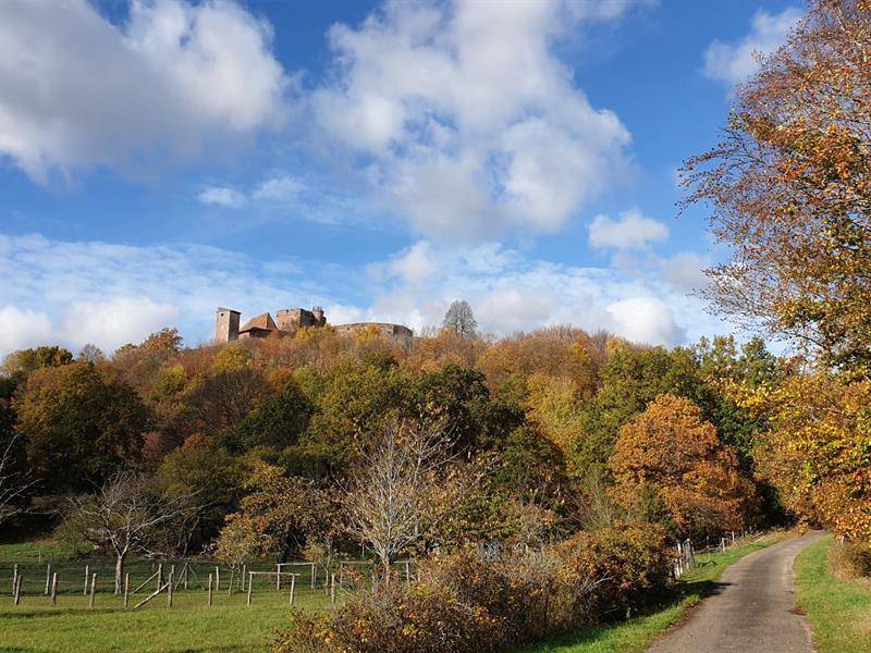 Randonnée : Sentier des châtaigniers