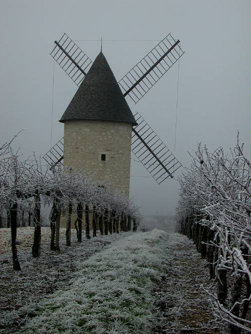 Randonnée : Le Moulin de Marquet, dans les vignes de Villeneuve-de-Duras